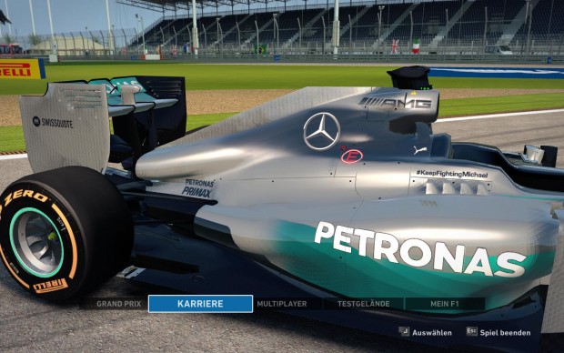 F1 2014 (Screenshot: Golem.de)